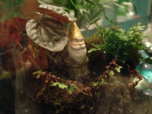 terrarium-and-gnome