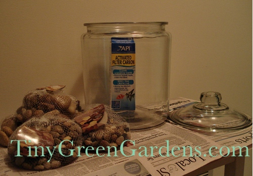 Making a Terrarium - Supply List from Tiny Green Gardens Tiny Green Gardens