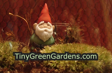 green-button-gnome