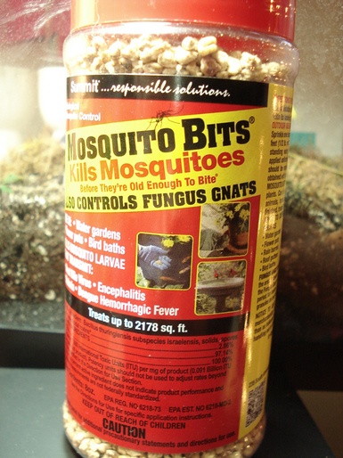 Fighting the Fungus Gnats