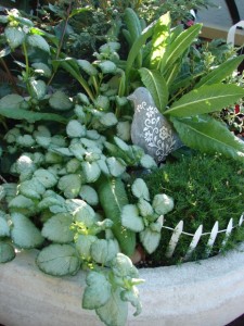 fairy-garden